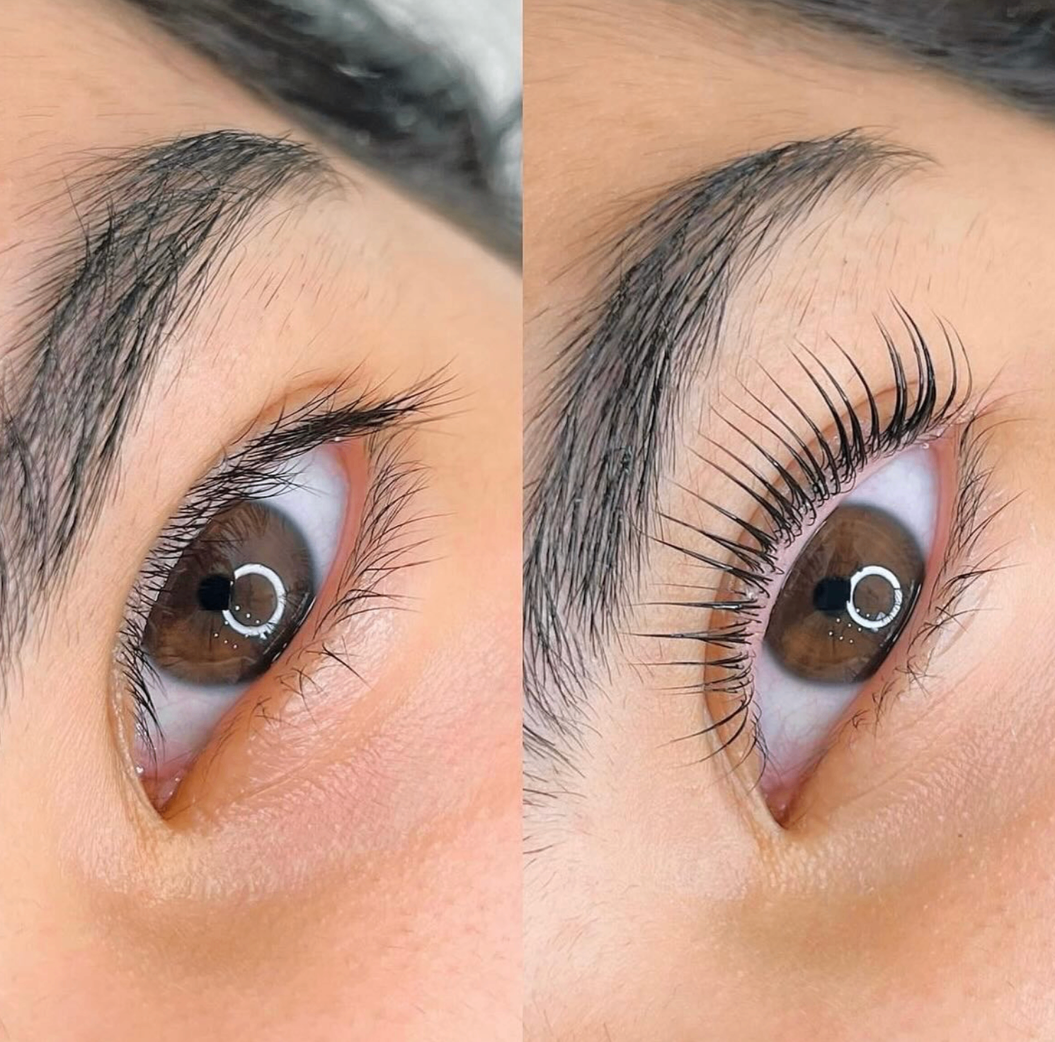 Lash Lifts